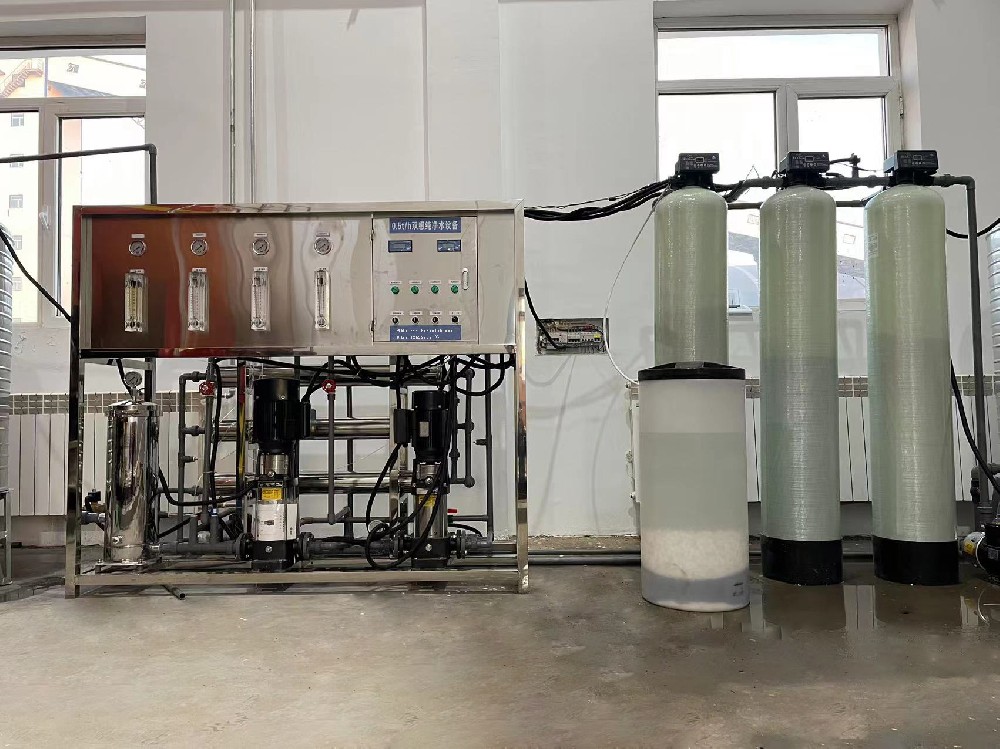 0.5t/h雙級純凈水設備